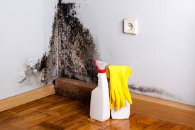 Best Biohazard Mold Removal  in West Hammond, NM